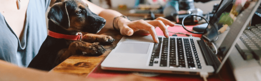 How Working From Home Is Becoming The New Norm